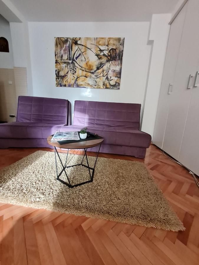 Apartman Veselinovic Free Parking Vranje Exterior foto